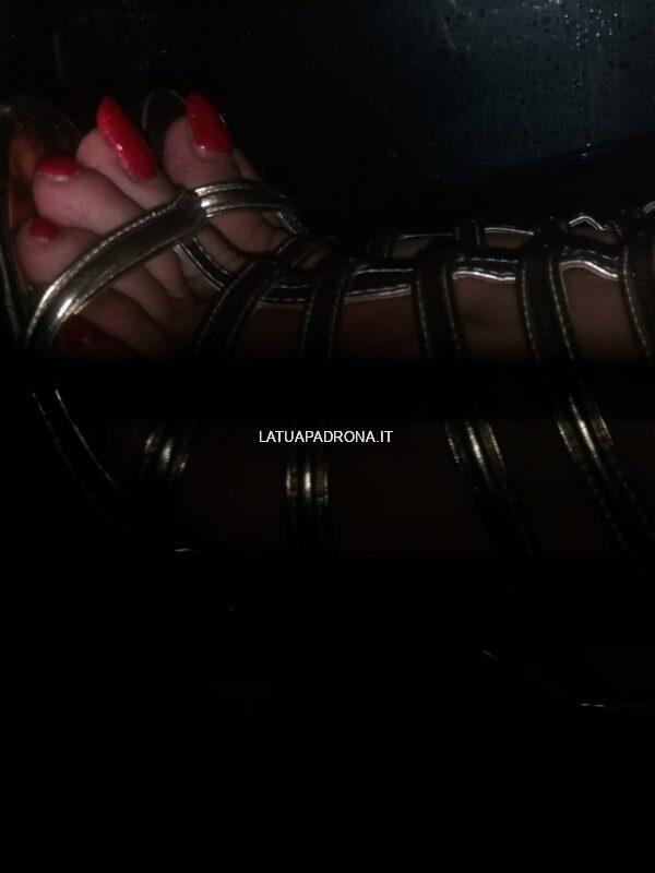 ladymandraka